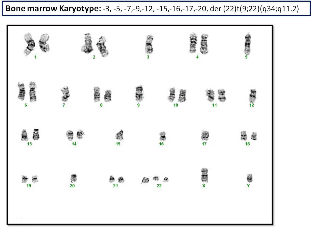 Fig 6